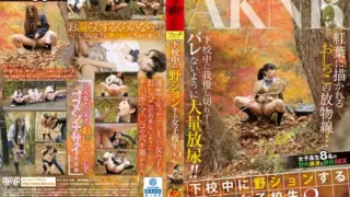 Cover: [FSET-599] Female High School Students Peeing Outdoors While Walking Home 2