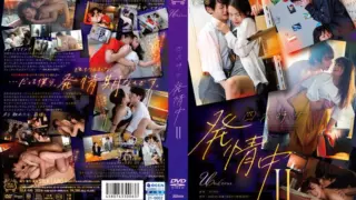 [SILK-146] Always in Heat II