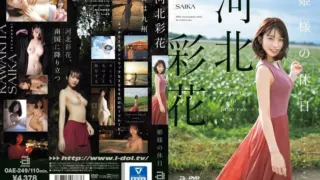 [OAE-249] Princess’s Holiday – Ayaka Kawakita