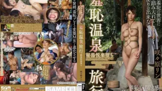 Cover: [GVG-810] Shameful hot spring trip.