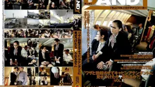[DANDY-079] “What will you do when confronted by a flight attendant? Let erection and sk*ll decide?”