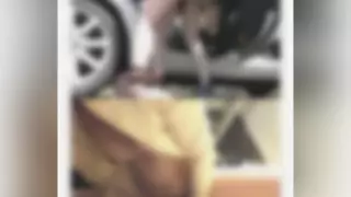 Cover: [FC2-PPV-4743166] [Private Shoot: Car Blowjob & Outdoor Sex] A Frustrated Rural…