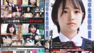 [YDNS-002] Train assault punishment #002