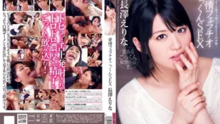 [DVAJ-014] Affectionate blowjob and cum-swallowing sex with Nagasawa Erina